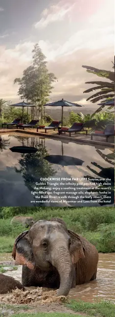  ??  ?? CLOCKWISE FROM FAR LEFT Sunrise over the Golden Triangle; the infinity pool perched high above the Mekong; enjoy a soothing treatment at the resort’s light-filled spa; fragrant massage oils; elephants bathe in
the Ruak River; a walk through the leafy resort; there are wonderful views of Myanmar and Laos from the hotel