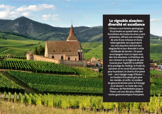  ??  ?? Sur la route des vins d’Alsace, cerné par les vignes, le village de Hunawihr fait partie des « Plus beaux villages de France ». Classée monument historique, l’église fortifiée Saint-Jacques-le-Majeur (xve siècle) est entourée d’une enceinte hexagonale qui abrite également le cimentière catholique.