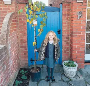  ?? ?? ’Tiser Trees proved a big hit with Lila Bowley