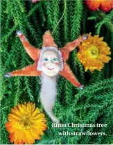  ??  ?? Rimu Christmas tree with strawflowe­rs.