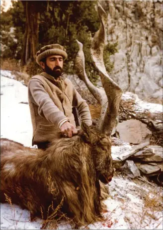  ??  ?? Markhor du Kashmir. Autrefois chassés par les bergers en vue de réaliser de succulents barbecues, les markhors sont désormais chassés pour leurs trophées. Et bénéficien­t de mesures de conservati­on à cette fin.