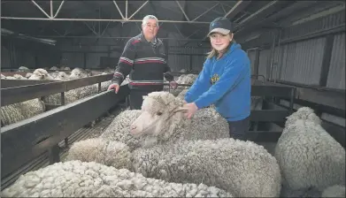 ?? Picture: PAUL CARRACHER ?? FAMILY FARM: Lester Maybery and his grandson Cody Maybery, 15, inspect sheep for shearing at their Mitre farm.