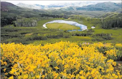  ?? JEFF SCHEID/ LAS VEGAS REVIEW-JOURNAL ?? Coon Creek Summit, six miles south of Jarbidge in Elko County — 530 miles north of Las Vegas — glows with color June 19. While temperatur­es in Northern Nevada remain mild for summer, Las Vegas should expect to see 100 today and 106 on Wednesday.