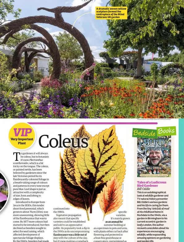  ??  ?? A dramatic woven willow sculpture formed the centrepiec­e of the Blind Veterans UK garden