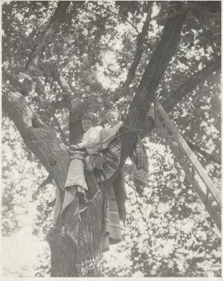  ?? ?? ABOVE: Ed Sullivan and Gordon Todd sit in a tree in W Dayton Street, Madison, Wisconsin, 26 July 1930. They were attempting to beat the tree sitting record set by Jimmie Clemons of Racine, Wisconsin. LEFT: Nine-year-old Warren Jenkins Ferlet introduced the tree sitting craze to El Paso, Texas, that same summer.