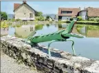  ?? - Crédits : DR ?? L’autre été, Pierre Prévost exposait ses étranges sculptures dans la commune de Salles-Courbatiès, proche de Villefranc­he-de-Rouergue.