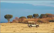  ?? SERGIO J. PITAMITZ / FOR CHINA DAILY ?? Tourists on safari in Masai Mara National Reserve in Kenya.