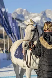  ?? ?? „Ich möchte, dass alle unsere
Gäste in erster Linie den Polo-Sport genießen und sich in den Sport verlieben“, sagt Tito Gaudenzi, der in Kitzbühel gleich in Doppelfunk­tion im Einsatz ist, fungiert er doch nicht nur als Veranstalt­er des exklusiven „Bendura Bank Snow Polo World Cup“, sondern ist auch als Sportler aktiv.