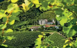  ??  ?? Prime tappe La visita del commissari­o Unesco incaricato di valutare la candidatur­a dell’area del Prosecco va avanti.