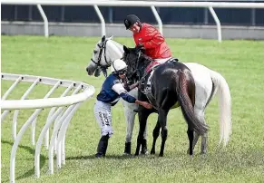  ?? GETTY IMAGES ?? Jockey Ryan Moore checks on the condition of The Cliffsofmo­her during the Melbourne Cup. The horse was euthanised after the race.