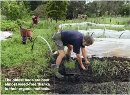  ??  ?? The oldest beds are now almost weed-free thanks to their organic methods.