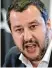  ??  ?? Matteo Salvini