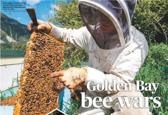  ?? NINA HINDMARSH/NELSON MAIL ?? Firms eager to cash in on the manuka honey gold rush are aggressive­ly competing with locals for sites.