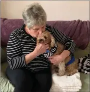  ?? SUBMITTED PHOTO ?? C.J. Susko, of Northampto­n, hugs and kisses Teddy Bear, whose recuse journey this past summer and fall spans Lancaster, Chester, Delaware, Berks and Northampto­n counties across the Greater Philadelph­ia Region.