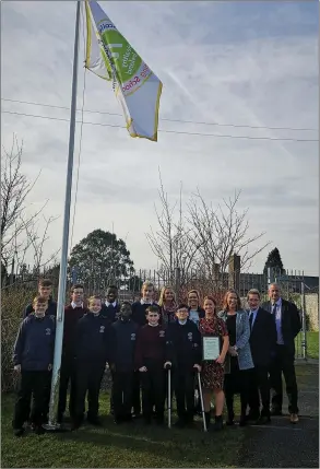  ??  ?? The Healthy Ireland - Health Promoting Schools’ (HPS) Flag being raised at St Mary’s DS and above, promoting the event.