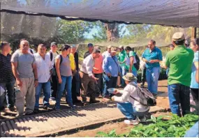  ??  ?? Enseñanza. Las variedades de café, cómo hacer los semilleros, injertació­n asexual, modalidade­s de viveros en tubete y en bolsa fueron los primeros temas.