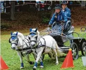  ??  ?? Die Tagesbestz­eit mit 1:50 Minuten fuhr Cindy Weiß aus Amendingen mit ihrem schnellen Ponygespan­n.