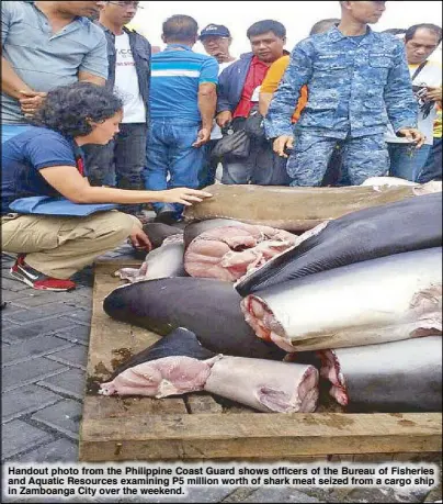  ??  ?? Handout photo from the Philippine Coast Guard shows officers of the Bureau of Fisheries and Aquatic Resources examining P5 million worth of shark meat seized from a cargo ship in Zamboanga City over the weekend.