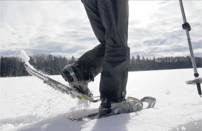  ?? THOMASWHIS­ENAND/THENEWYORK­TIMES ?? Snowshoes are poised to be a big seller in the pandemic winter. Above, snowshoein­g in the Boundary Waters Canoe Area Wilderness near Ely, Minnesota.