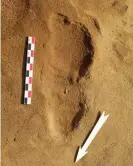  ?? Photograph: Dominique Cliquet/AFP/Getty Images ?? One of the Neandertha­l footprints discovered at Le Rozel, France.