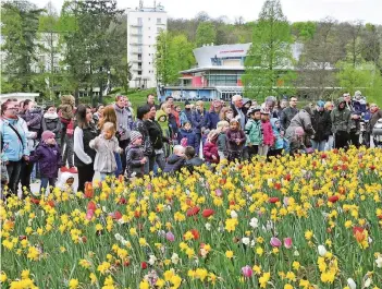  ?? FOTOS: BECKER&BREDEL ?? Der Ansturm auf die Osterhasen war enorm. Damit niemand leer ausging, füllten Helfer immer wieder die Körbe auf. Derweil konnten sich die Eltern am frisch erblühten Blumenmeer erfreuen.