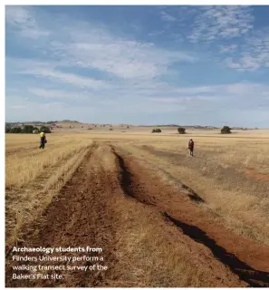  ??  ?? Archaeolog­y students from Flinders University perform a walking transect survey of the Baker’s Flat site.