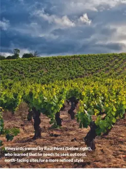  ??  ?? Vineyards owned by Raúl Pérez (below right), who learned that he needs to seek out cool, north-facing sites for a more refined style