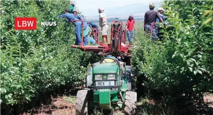  ?? FOTO: JOHAN COETSEE ?? Politieke opportunis­te slaan tipies toe tydens spits-arbeidstye, soos pluktyd in vrugtebedr­ywe, en boere word gemaan om te alle tye apolities te bly.