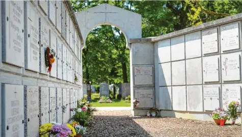  ?? Foto: Klaus Rainer Krieger ?? Urnengräbe­r, wie hier auf dem Neuen Friedhof Haunstette­n, sind gefragt. Immer mehr Hinterblie­bene entscheide­n sich für diese Bestattung­sart. Die Kosten dafür sind jedoch in den vergangene­n Jahren in Augsburg um mehr als das Doppelte gestiegen.