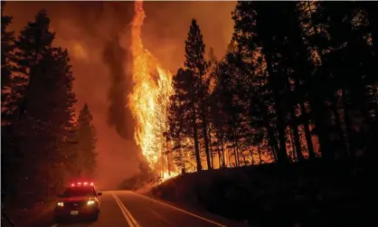  ?? Photograph: Noah Berger/AP ?? Flames leap from trees as the Dixie Fire jumps Highway 89 north of Greenville in Plumas County, California on 3 August 2021.