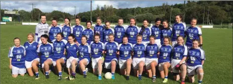  ??  ?? The Éire Óg Greystones footballer­s who won the Junior B championsh­ip crown by beating Barndarrig last weekend.