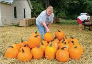  ?? Photo by Randy Moll ?? Janie Parks places pumpkins out on straw outside of The Garden Gate flower shop in Gentry.