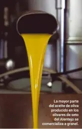  ??  ?? La mayor parte del aceite de oliva producido en los olivares de seto del Alentejo se comerciali­za a granel.