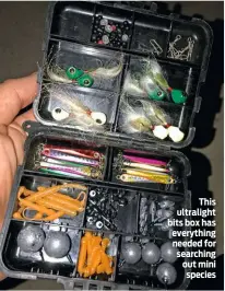  ??  ?? This ultralight bits box has everything needed for searching out mini species