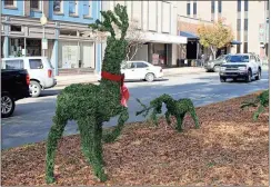  ?? Doug Walker / RN-T ?? Reindeer topiaries line the median of Broad Street for the holidays. The annual Downtown Holiday Open House is scheduled today from 11 a.m. to 3 p.m.