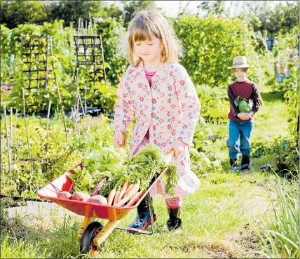  ??  ?? YOUNG, GIFTED AND GREEN-FINGERED: Children learn about biodiversi­ty and the need to protect our planet