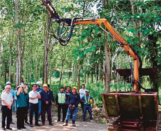  ??  ?? Uggah melihat proses penuaian buah sawit menggunaka­n prototaip mesin dikenali sebagai ‘H Harvester Cutter’ di Ladang Tiga di Bekenu, Miri.