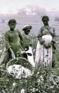  ?? LIBRARY OF CONGRESS ?? Working in the cotton fields.