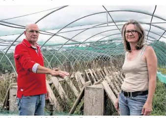  ??  ?? Jean-Pierre Nordet et Isabelle Chaintreui­l travaillen­t entièremen­t de façon manuelle, tant pour l’élevage que pour la préparatio­n de leurs escargots.