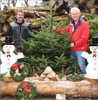  ??  ?? Michael O’Neill of Renard Point purchasing his Christmas tree and some wooden decoration­s from John O’Sullivan Christmas Trees, Strands End, Cahersivee­n.