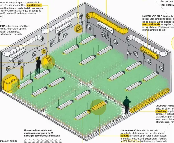  ?? ?? PER NO AIXECAR SOSPITES inhibidors d’ or. <500 kWh controlado­r de clima, generadors de C0 ... congelador­s
LA HUMITAT
CONNEXIONS IL·LEGALS A LA XARXA ELÉCTRICA humidifica­dors
El consum d’una plantació de marihuana correspon al de 80 habitatges convencion­als de mitjana
LA RENOVACIÓ CONSTANT DE L’AIRE és essencial per al
això s’utilitzen potents extractors, així com ventilador­s que facin circular l’aire. La seva funció és evacuar l’aire viciat i part de la calor a l’exterior
LA IL·LUMINACIÓ
Els llums 83.6
Wh
LA REGULACIÓ DEL CLIMA aires condiciona­ts
L’ELECTRICIT­AT QUE CONSUMEIX Consum mitjà d’una plantació interior de marihuana, en marxa 24 hores al dia, durant els 60-95 dies que dura cada collita
Total collita: 120.000 kWh aprox.
L’AIGUA QUE ALIMENTA LES PLANTES tubs de reg, 19.2 1 kWh 3.90 kWh