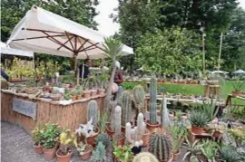  ??  ?? Sopra, immagini dalla scorsa edizione di orticola di lombardia: attesa quest’anno dall’11 al 13 maggio, come sempre ai giardini indro montanelli. nella pagina accanto, in alto, il vicepresid­ente di orticola filippo pizzoni e un eTemQJodeJ HrBndJ...