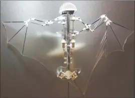  ?? The Associated Press ?? This photo by Alireza Ramezani of the University of Illinois, shows a Bat Bot, a three-ounce flying robot that’s more agile than standard drones, according to the authors of a study released Wednesday.