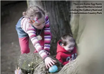  ??  ?? There are Easter Egg Hunts around Northern Ireland including the Cadbury Hunt and at Crawfordsb­urn Country Park