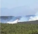  ?? THOMAS PEIPERT/AP ?? A plane drops water Wednesday near Las Vegas, New Mexico. The fire has torched more than 250 square miles.