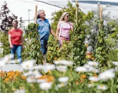  ?? Foto: Patty Varasano ?? So macht das Flanieren besonders Spaß. Zwischen viel Grün und Blumen kommt die Entspannun­g nicht zu kurz.