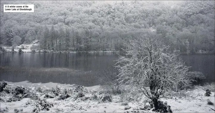  ??  ?? A winter scene at the Lower Lake at Glendaloug­h.