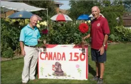  ??  ?? Malachy Byrne, left, and John Mooney are flying their dahlias to England to compete at the Harrowgate Autumn Flower Show. Competing in one of the biggest dahlia shows in the world is a “bucket list” item for Mooney.