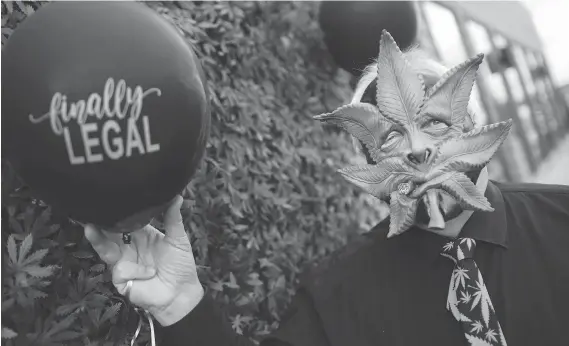  ?? PHOTOS: DAX MELMER ?? Cole Cacciavill­ani, Aphria’s co-founder, dons a marijuana mask Wednesday during the Aphria Inc. barbecue in the Jose’s Bar and Grill parking lot in Leamington.