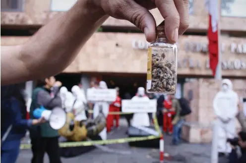  ?? Foto: imago/Agencia EFE ?? Aktivisten von Greenpeace protestier­en in Mexiko-Stadt gegen das Bienenster­ben, unter dem die Maya-Imker besonders zu leiden haben.
